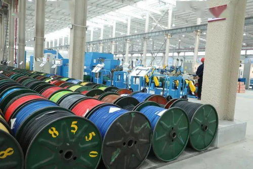 引领智能化升级 金龙电缆智能制造车间正式投产